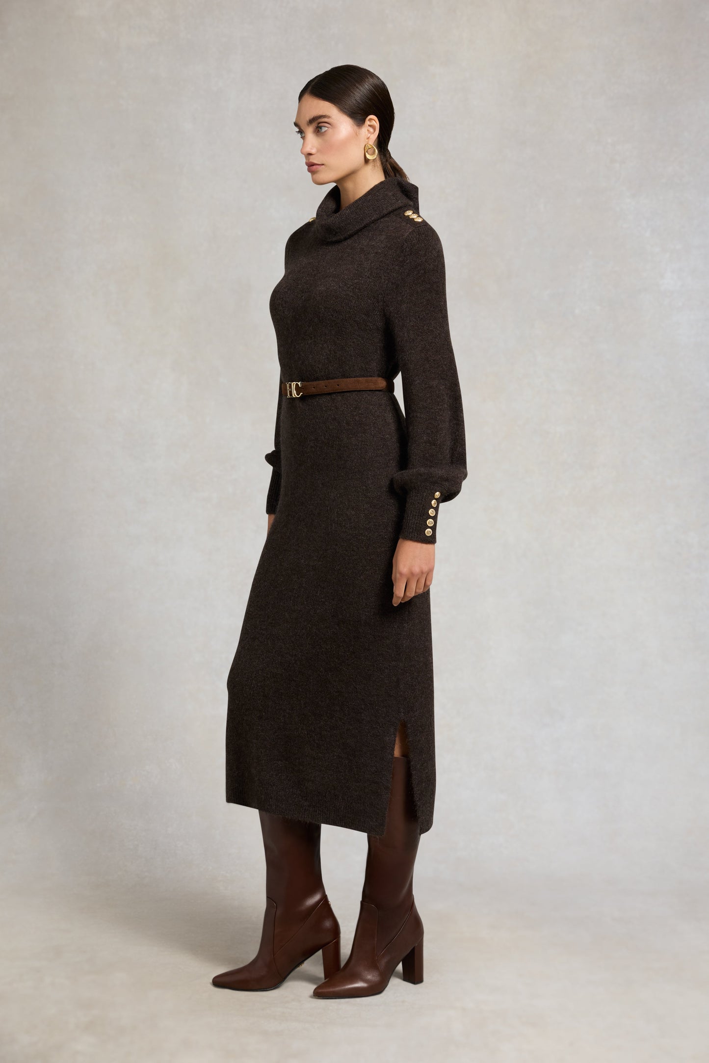 Berkeley Roll Neck Dress (Chocolate)