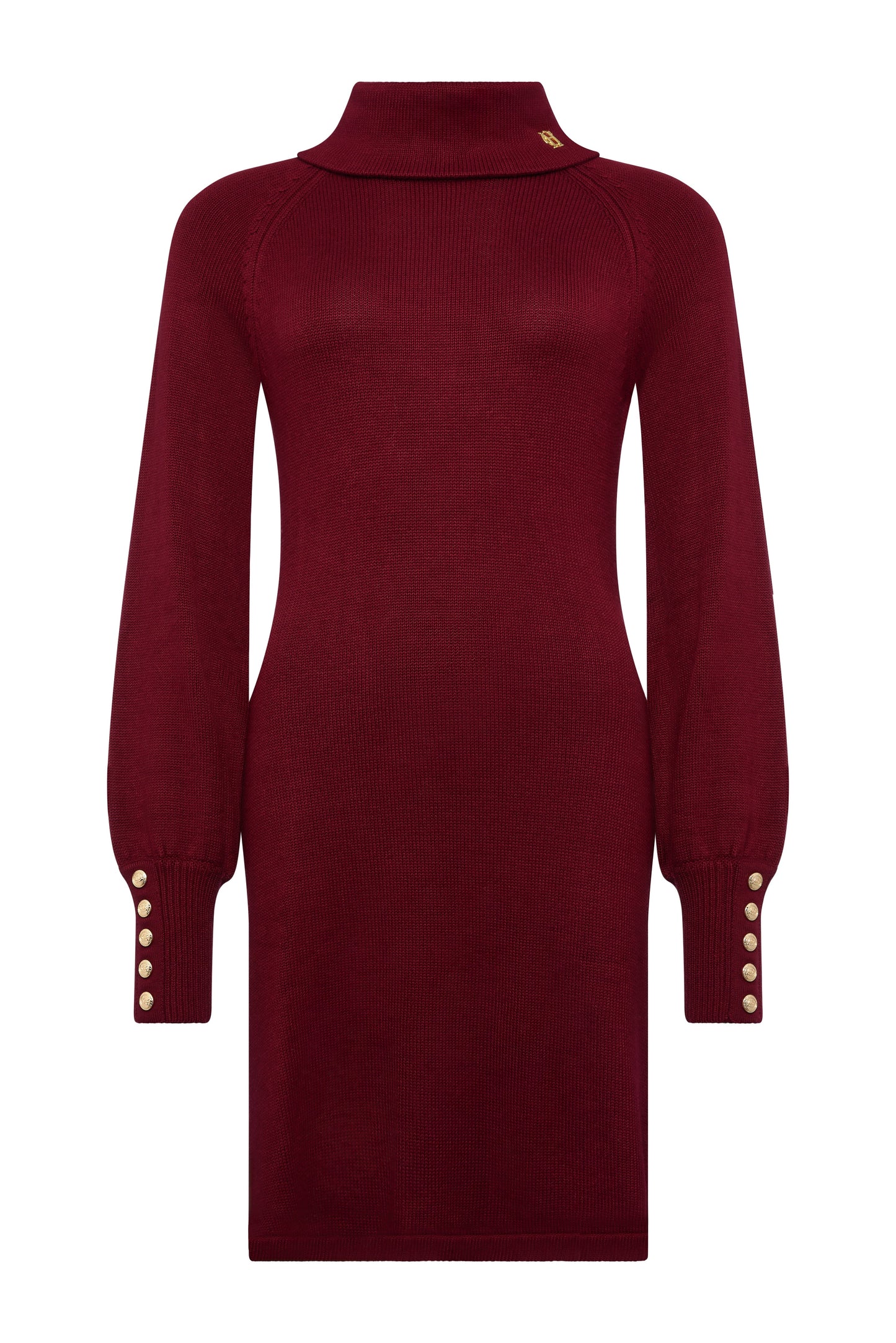 Chamonix Fit & Flare Dress (Wine)
