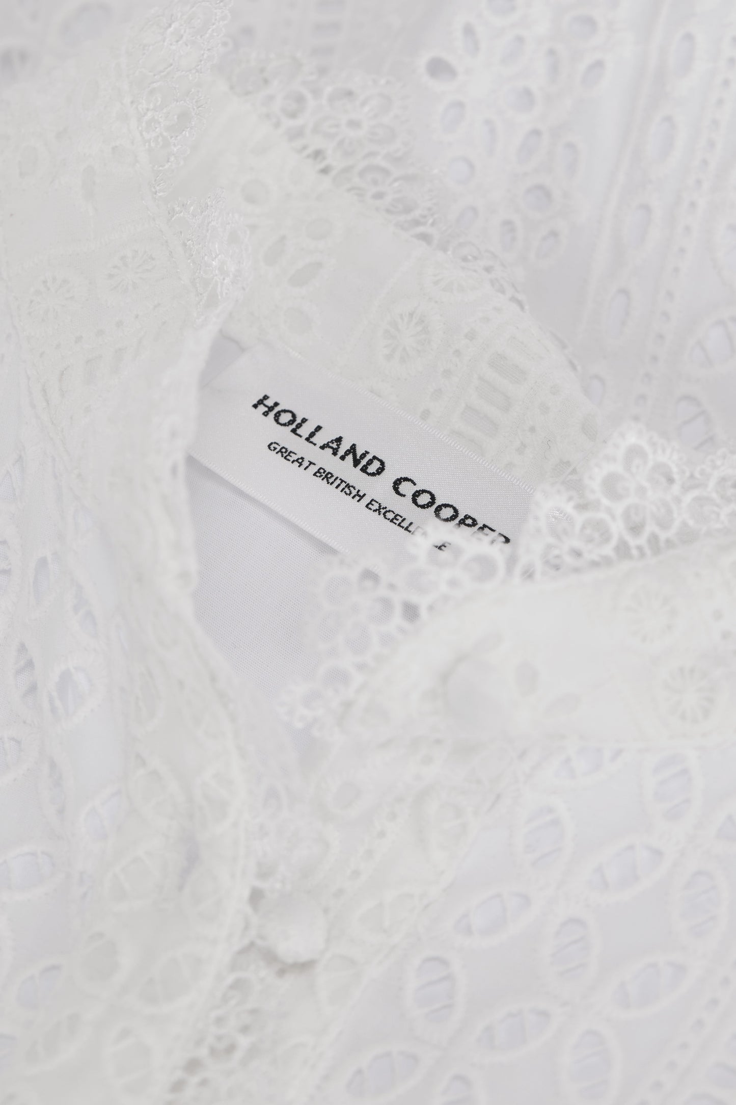 Collarless Broderie Mini Dress (White)